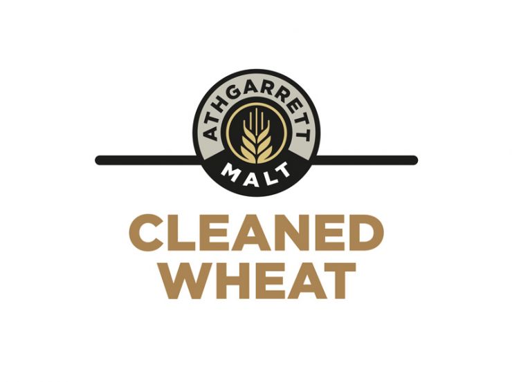 Premium Cleaned Irish Wheat