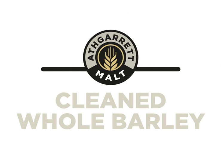 Premium Cleaned Irish Barley